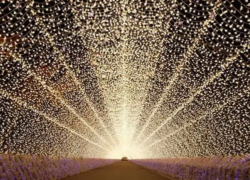 Vườn cây bọc trong 7 triệu đèn LED ở Nhật Bản